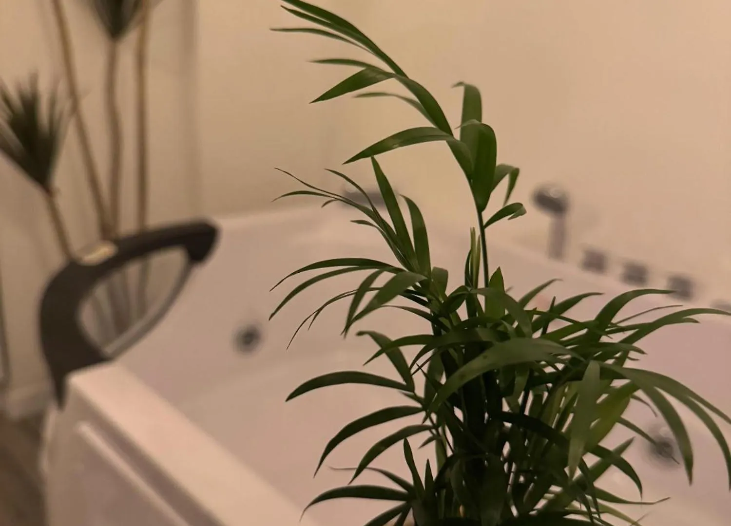 Guest house Residenza Piramide Hotel Rome